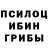 Галлюциногенные грибы GOLDEN TEACHER Romiraz Romiraz