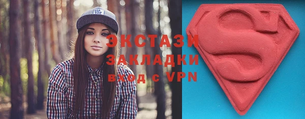 индика Лабытнанги