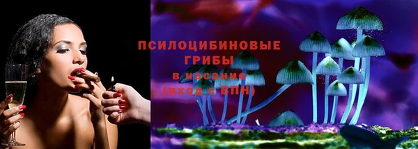 ПСИЛОЦИБИНОВЫЕ ГРИБЫ Лагань