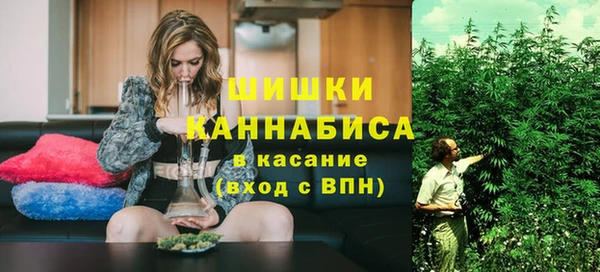 спайс Кулебаки