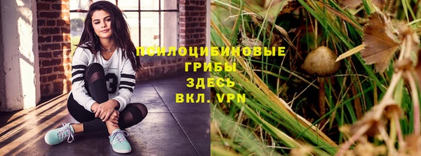 спайс Кулебаки