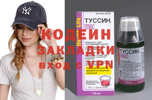 индика Лабытнанги