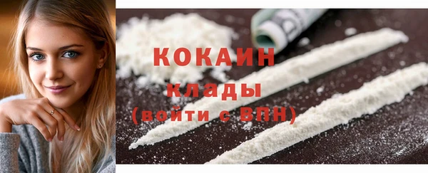 спайс Кулебаки