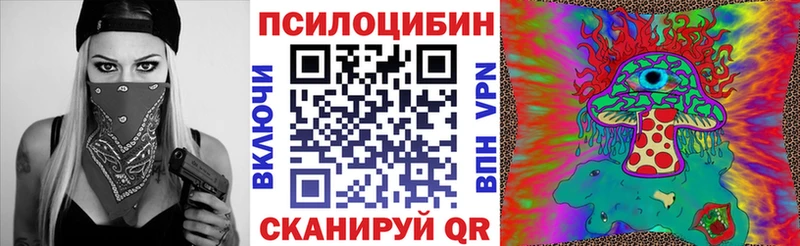Галлюциногенные грибы Psilocybe  Купить закладки  Благодарный 
